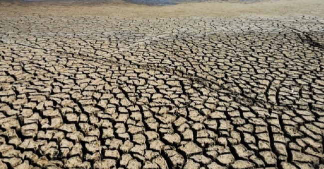 MEDIO AMBIENTE: preocupación en Argentina por la degradación que sufren las tierras