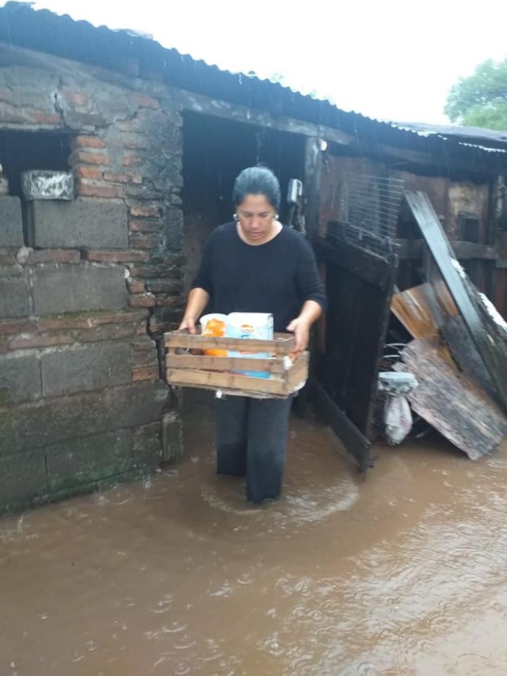 Diario Primera Hora 