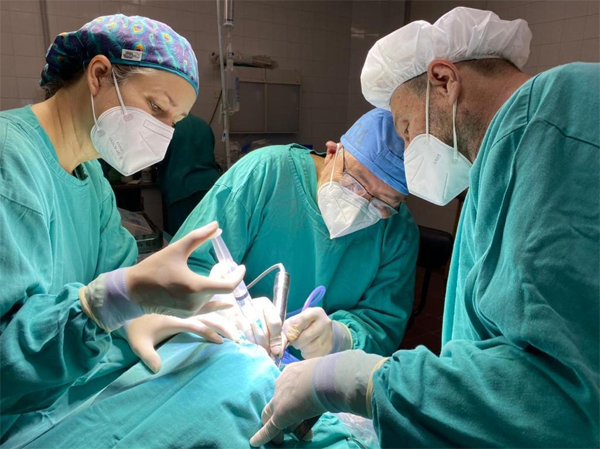 IMPLANTES
