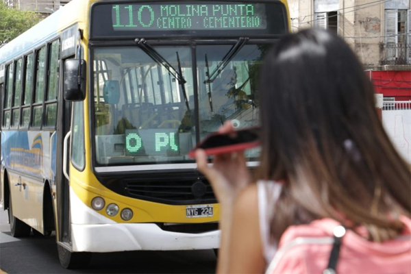 colectivos