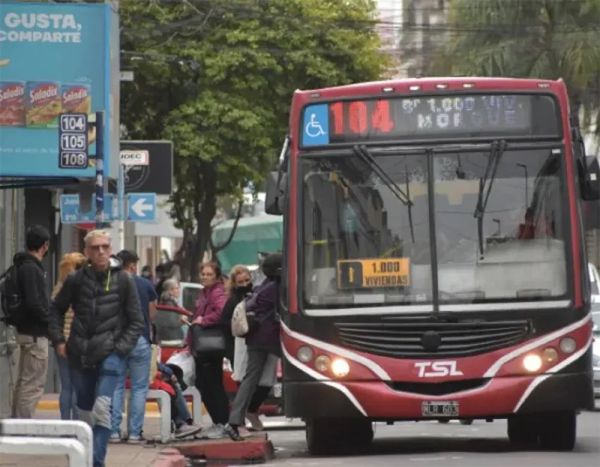 colectivos