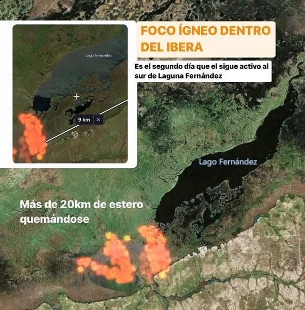 diario primera hora