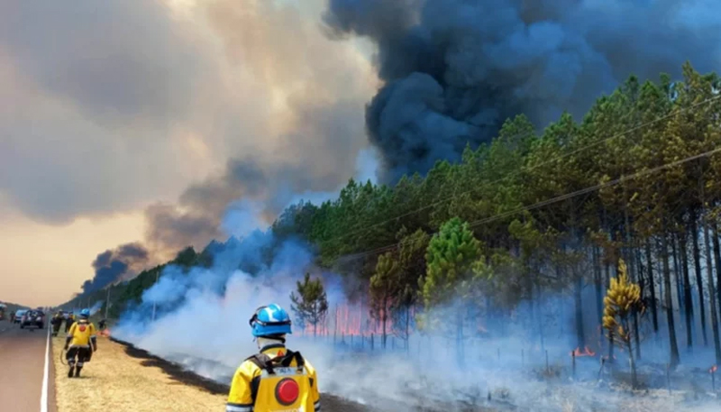 INCENDIO