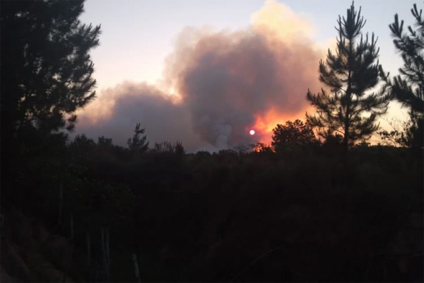 INCENDIOS