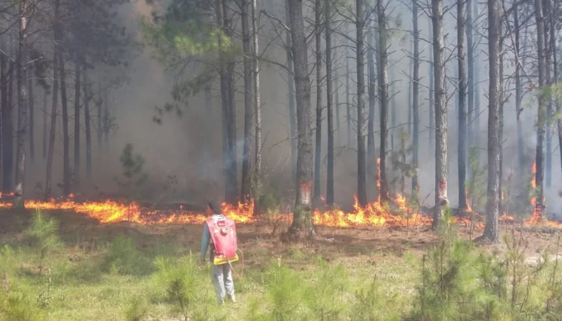 INCENDIOS
