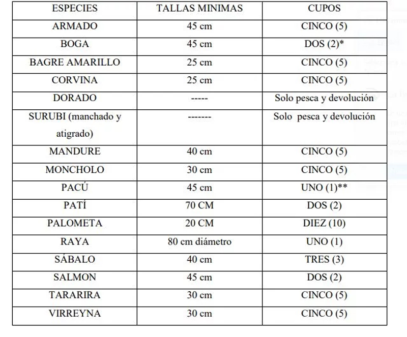 diario primera hora