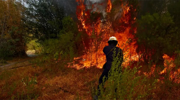 BOMBEROS