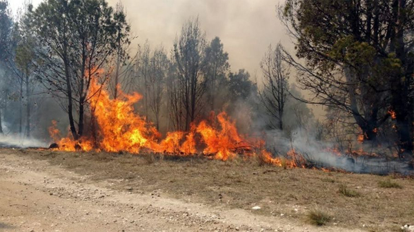 Focos Incendios