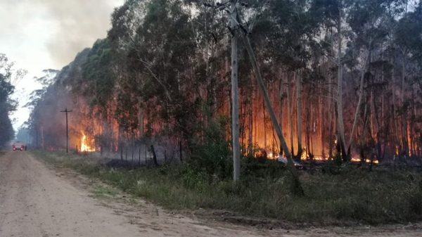 focos de Incendios