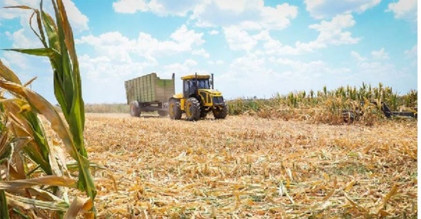 Productores agropecuarios 