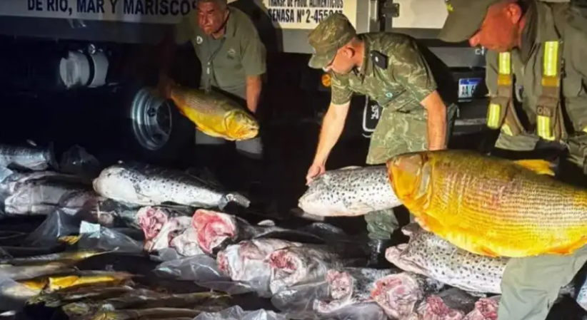 Alerta por pesca furtiva en Corrientes: denuncian "depredación intencionada" y piden sanciones más duras