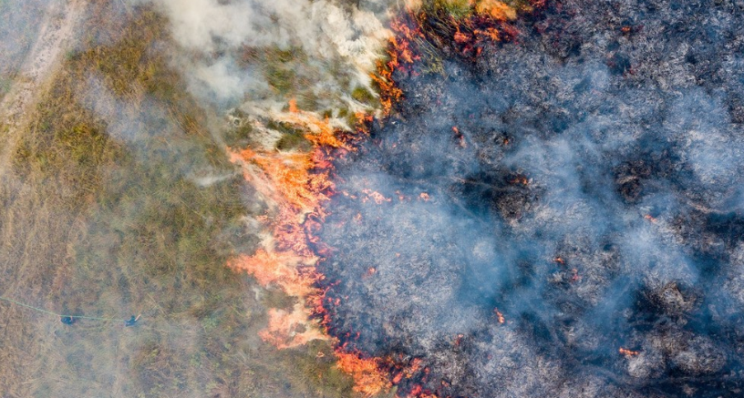 Investigadores de la UNNE estudian cómo el fuego alteró los suelos frágiles de Corrientes