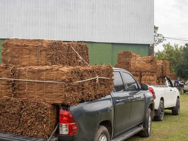 ESTA SEMANA SE ABONARÁ SOBREPRECIO POR VENTA DE TABACO
