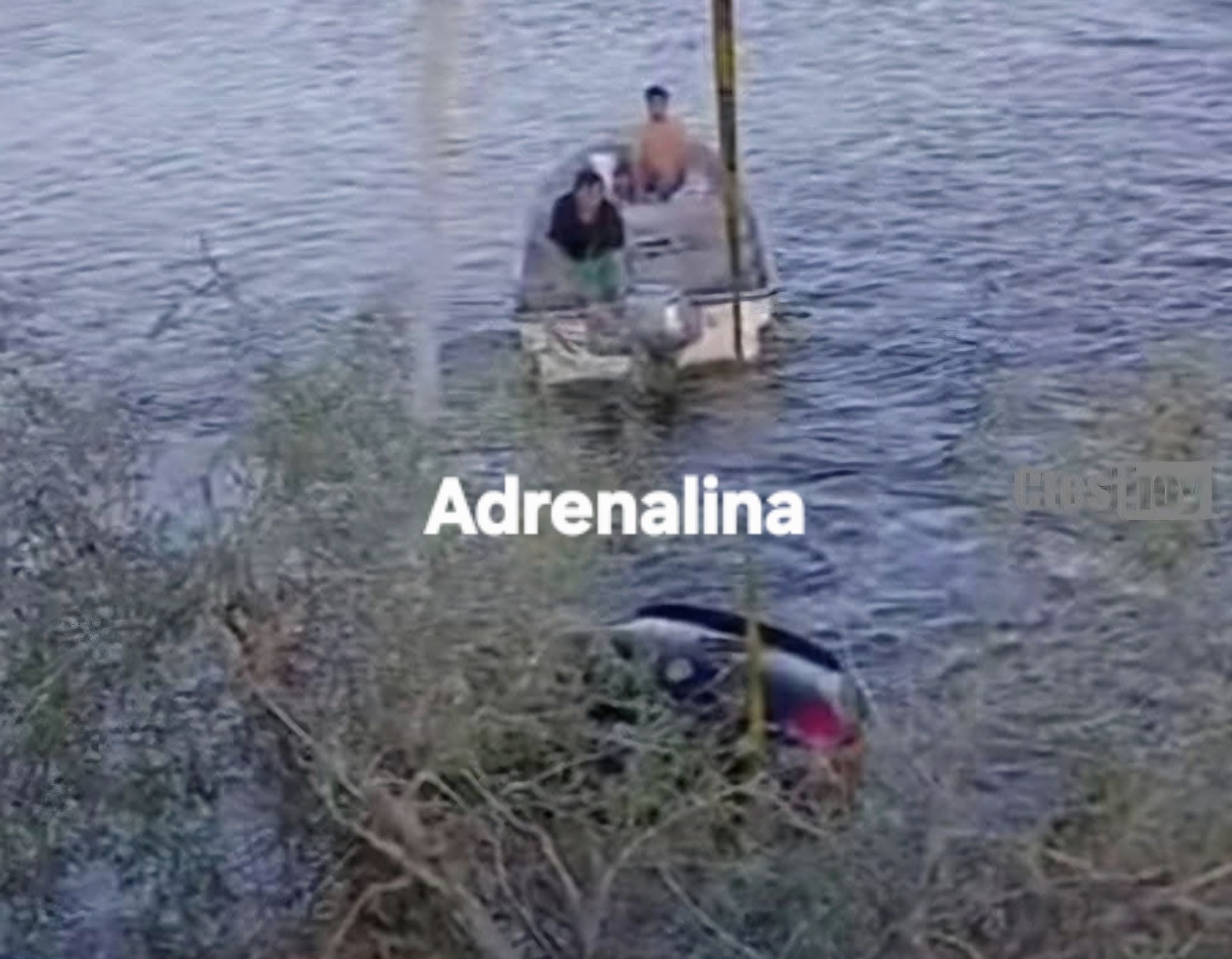 ESTEROS DEL IBERÁ: CAYÓ UN AUTO Y EL CONDUCTOR MURIÓ ATRAPADO BAJO EL AGUA