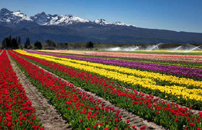 CUÁNDO ES EL EQUINOCCIO DE PRIMAVERA 2025