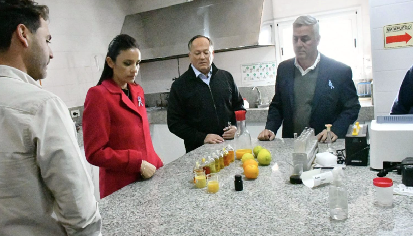 LA COSECHA DEL LIMÓN IMPULSA EXPORTACIONES MILLONARIAS EN CORRIENTES