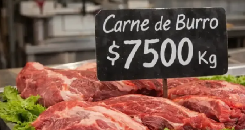 Sorpresiva propuesta en Chubut: una carnicería vende carne de burro a $7.500 el kilo