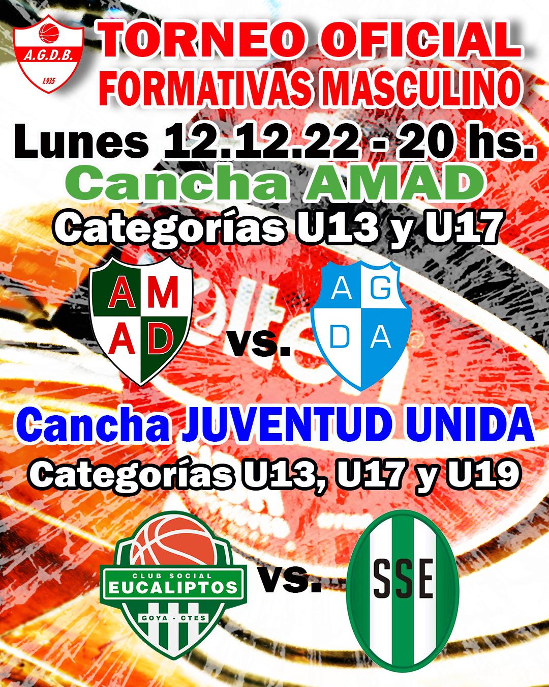 DIARIO PRIMERA HORA