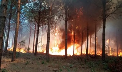 Alerta de Incendio: hay nueve ciudades de Corrientes bajo riesgo