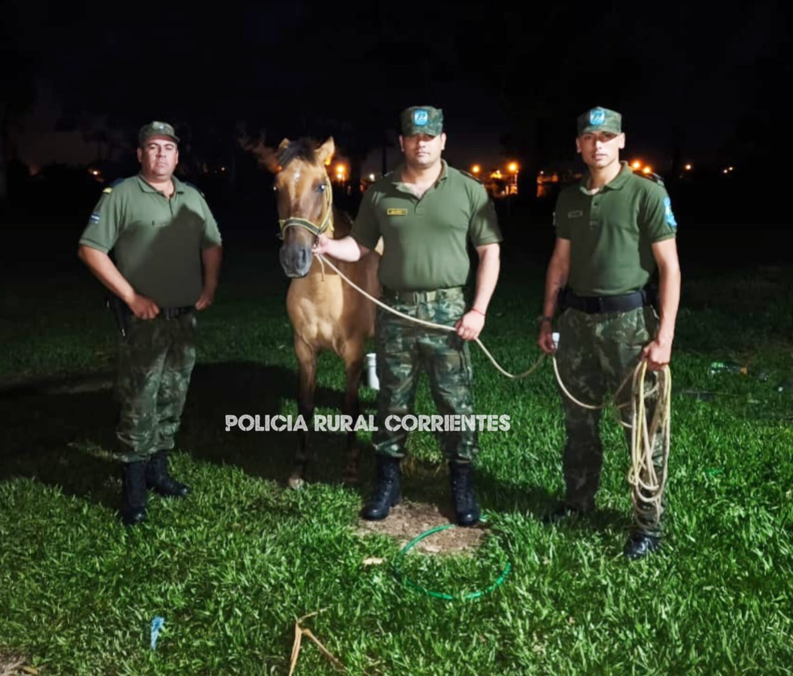 RECUPERAN CABALLO ROBADO HACE TRES MESES