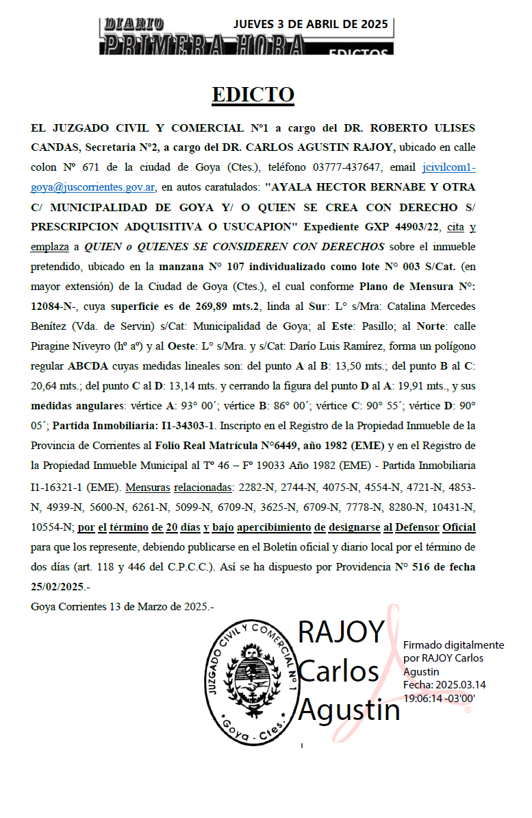 DIA 3 RAJOYS