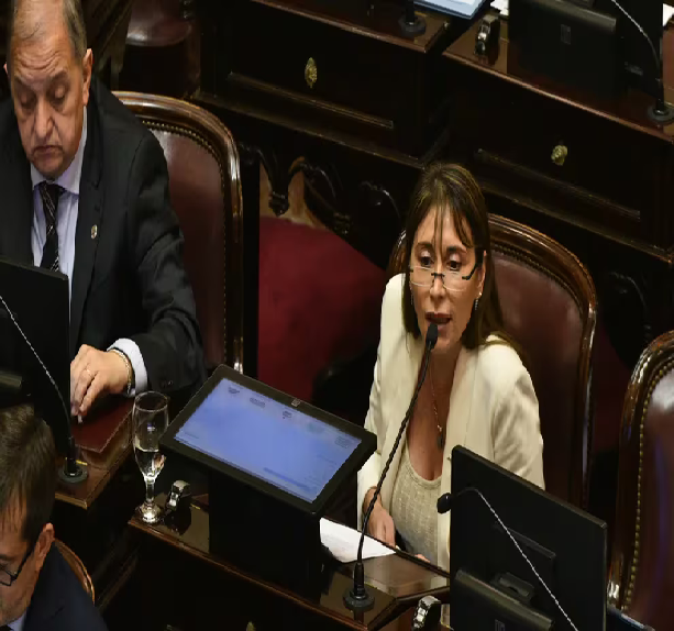 Durísimo discurso de una senadora de Unión por la Patria contra Javier Milei.