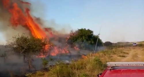 El Gobierno de Corrientes profundiza acciones en el combate contra el fuego