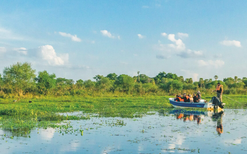IBERÁ: PREOCUPACIÓN POR CAZA FURTIVA Y CIERRE DE ACCESO EN EL PORTAL SAN NICOLÁS