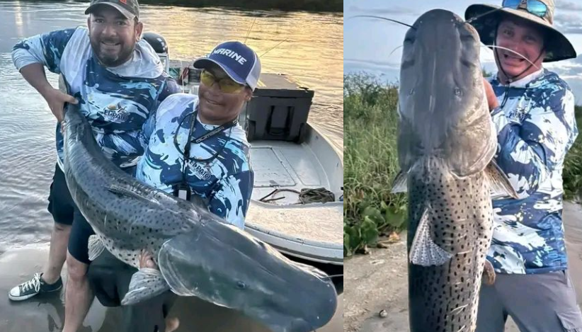 ESQUINA: CAPTURARON UN SURUBÍ DE MÁS DE 40 KILOS