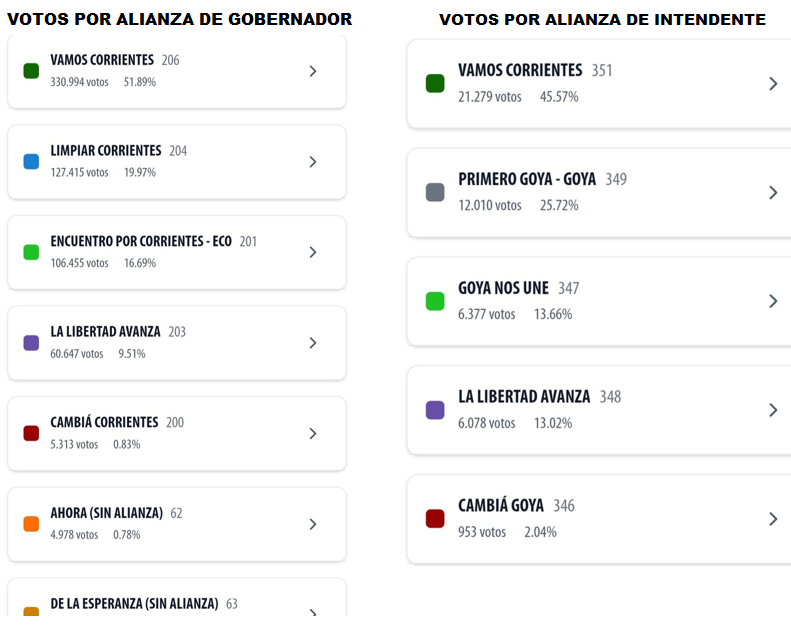 RESULTADOS OFICIALES: ASÍ QUEDÓ LA ELECCIÓN EN GOYA PARA INTENDENTE Y GOBERNADOR