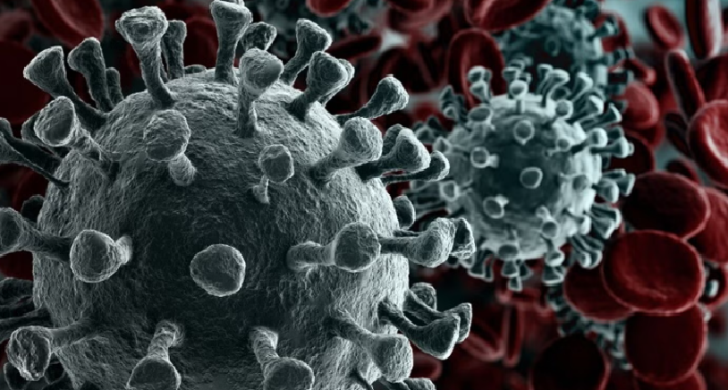 "Cicada", la nueva variante de COVID que está bajo la lupa de la OMS