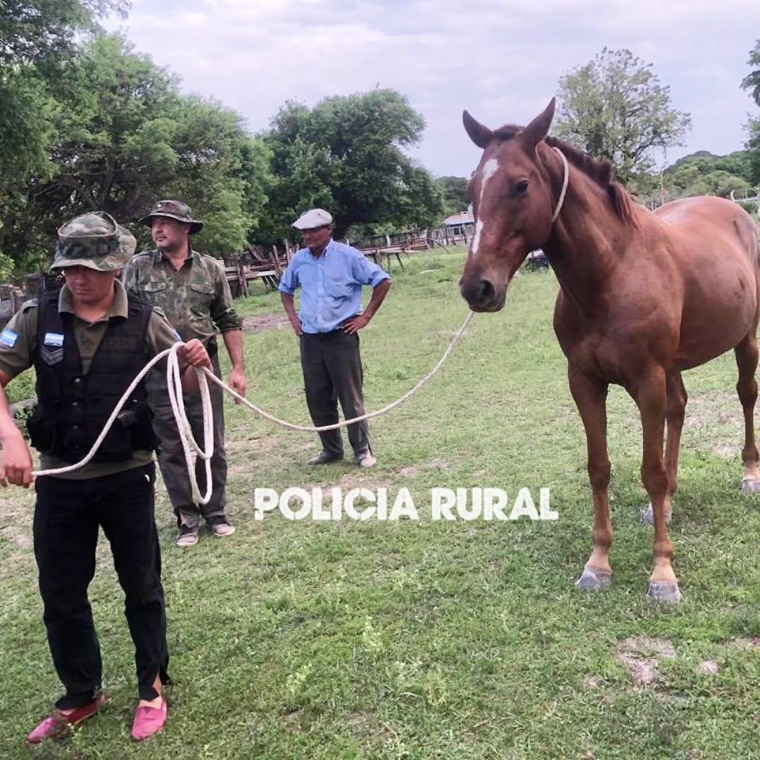 EL PRIAR FRUSTRÓ UN INTENTO DE ABIGEATO EN UN ESTABLECIMIENTO RURAL