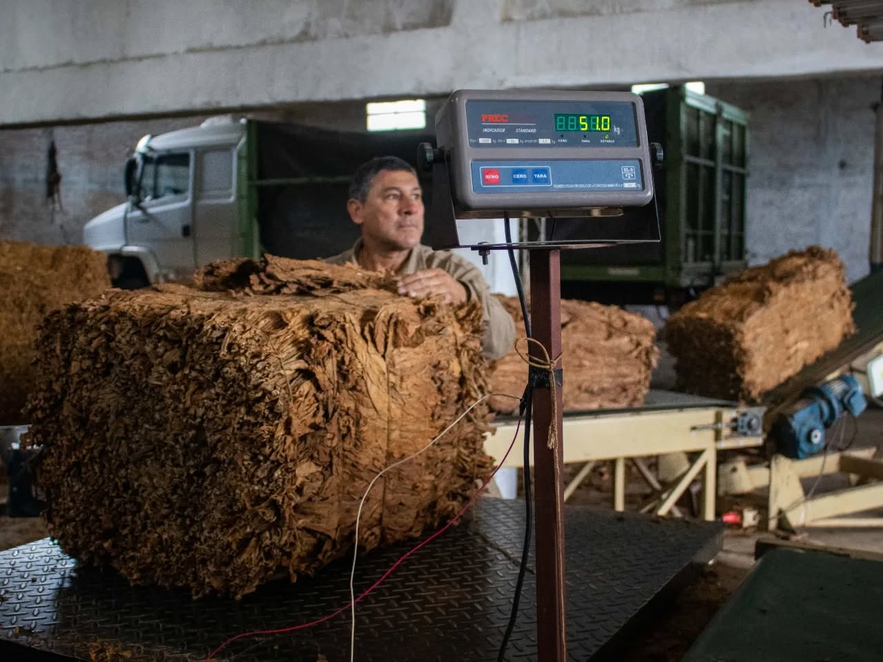 IPT CONFIRMÓ LA FECHA DE PAGO DEL SOBREPRECIO POR ACOPIO