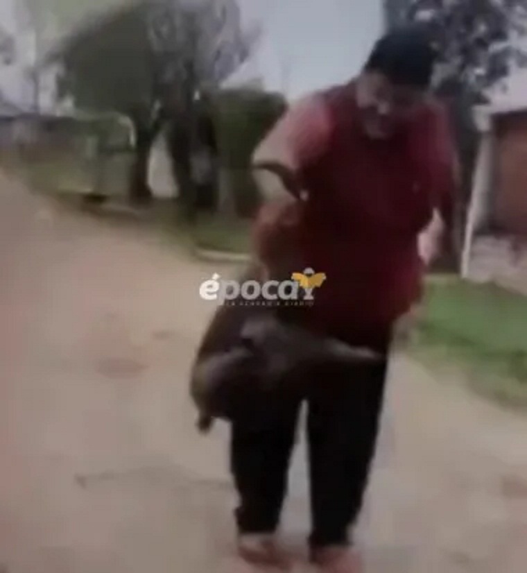  EXIGEN JUSTICIA: INDIGNACION POR MALTRATO DE UN LOBITO DE RIO: LO TERMINARON MATANDO