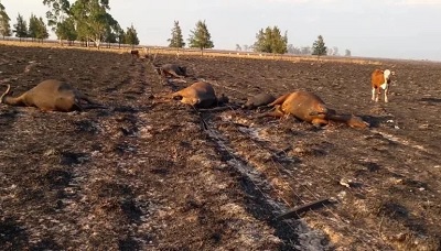 Los referentes de la Mesa de Enlace llegan para evaluar el impacto de la sequía y los incendios