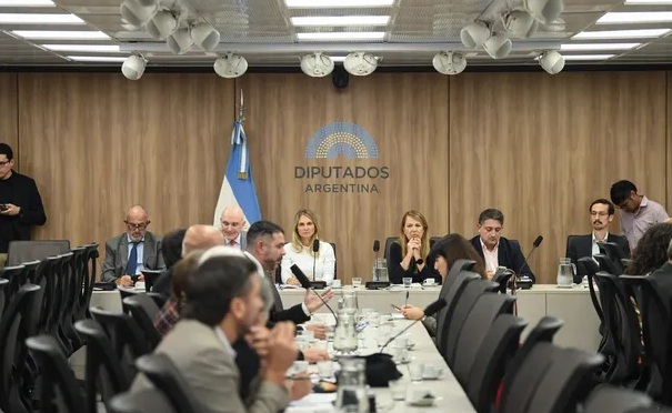 Baja de la edad de imputabilidad: obtuvo dictamen la modificación al Régimen Penal Juvenil