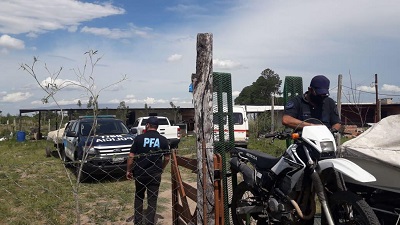 DIARIO PRIMERA HORA