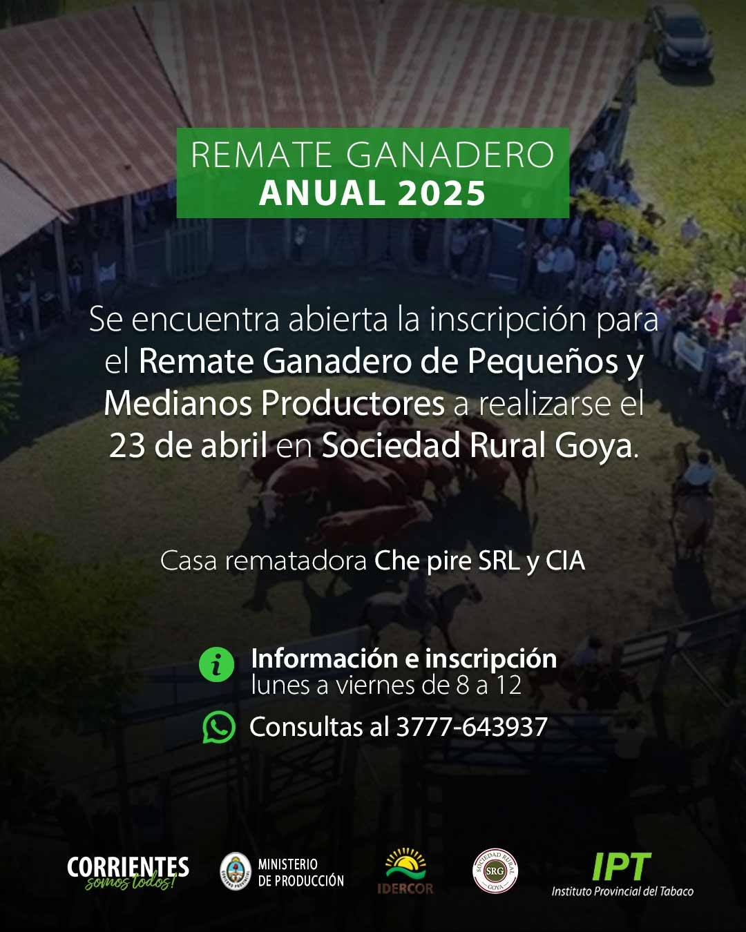 REMATE GANADERO ANUAL EN GOYA PARA PEQUEÑOS Y MEDIANOS PRODUCTORES