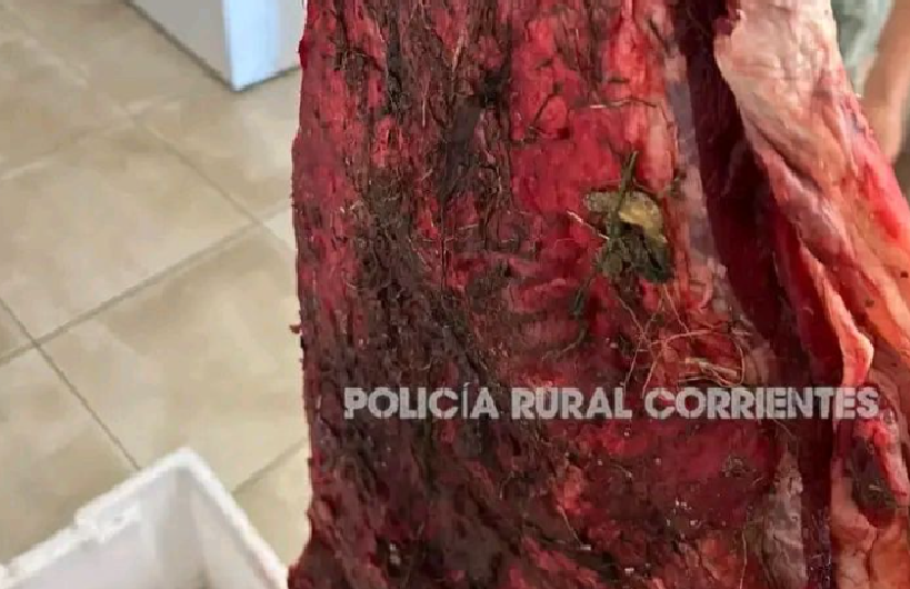 ESQUINA: DETECTAN CARNE CON TIERRA Y PASTO EN UN CONTROL DE CARNICERÍA