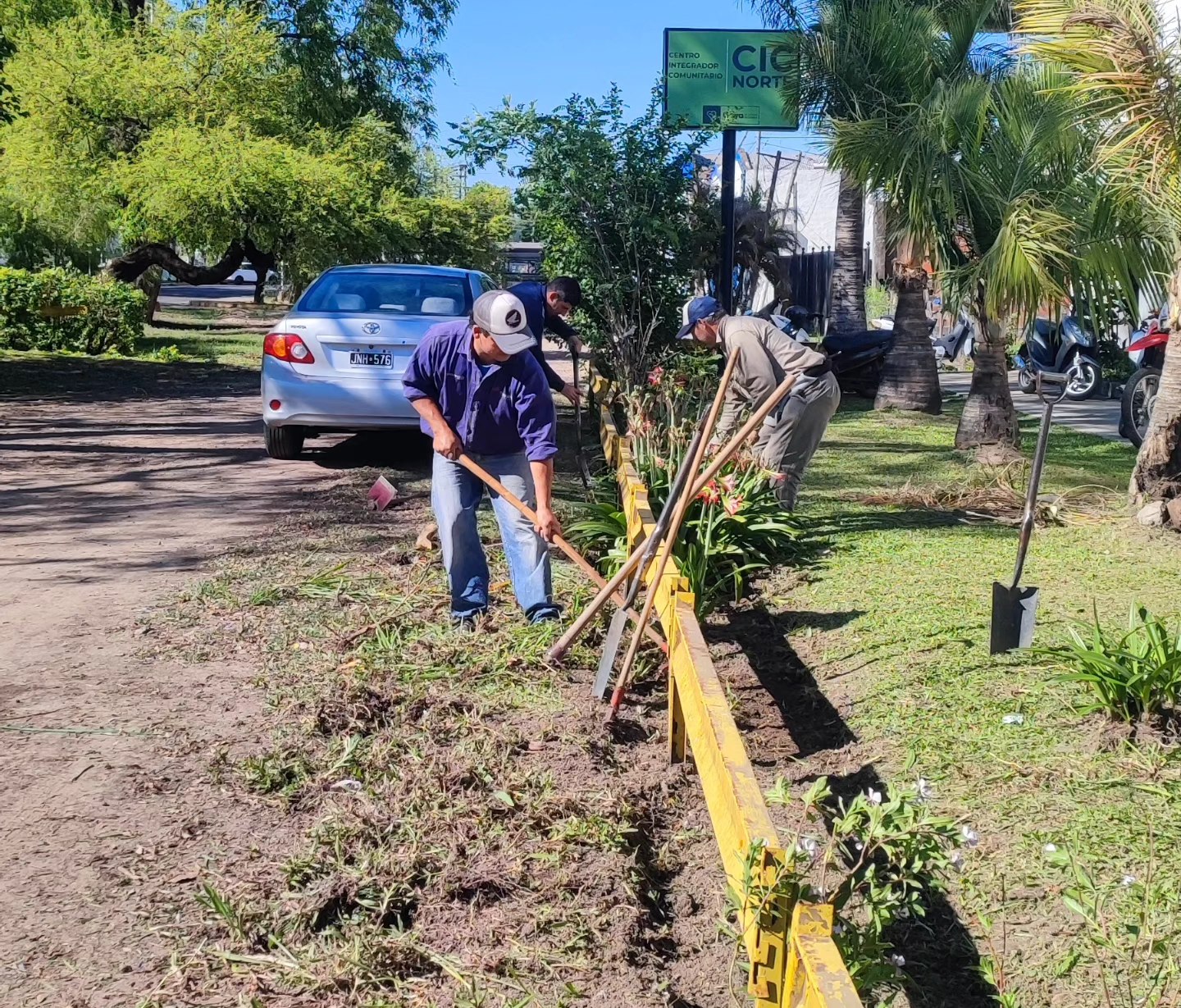 PLAN DE ARBOLADO URBANO
