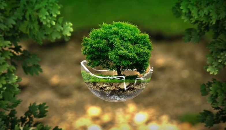 Sin contaminación por plásticos, el tema del Día Mundial del Medio Ambiente 2025