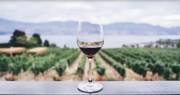 Día Nacional del Vino: ¿Por qué se lo celebra hoy?