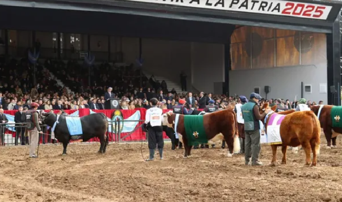 Cómo quedan las retenciones tras los anuncios de Javier Milei en La Rural