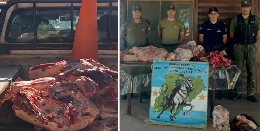 LAVALLE: FAENA CLANDESTINA Y CARNE ILEGAL: SECUESTRAN 120 KILOS