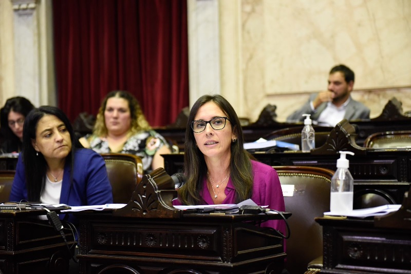 Sofía Brambilla: En Defensa del Gobierno del ajuste Javier Milei y en Oposición al Aumento de Retenciones al Campo