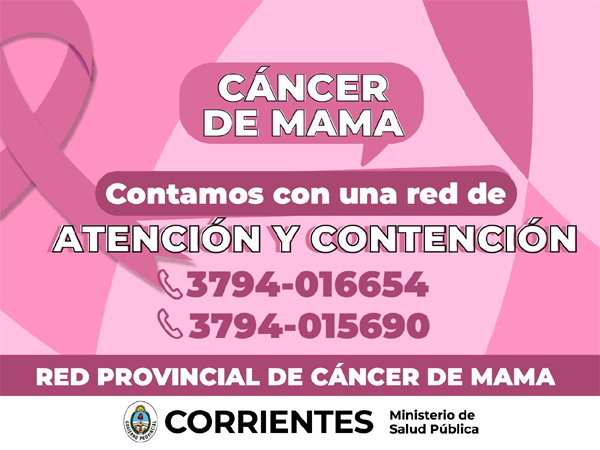 diario primera hora