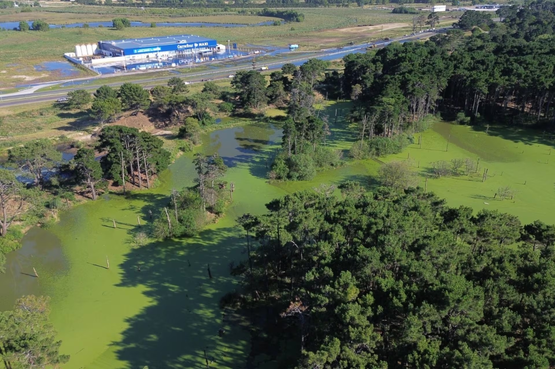 Estallaron las cloacas en Pinamar y las consecuencias se las llevó Madariaga