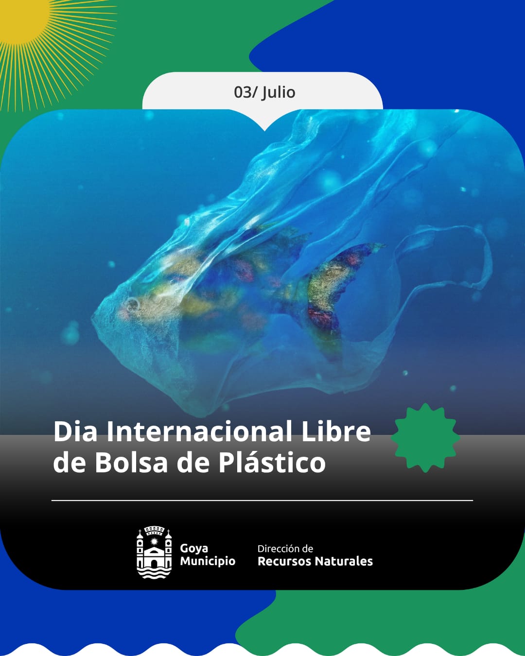 DIRECCIÓN DE RECURSOS NATURALES: Día sin Bolsas de Plástico: menos plástico, más futuro