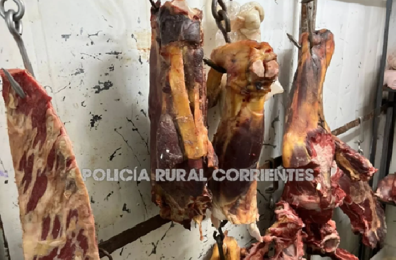 GOYA: LA POLICÍA SECUESTRÓ MÁS DE 1500 KILOS DE CARNE PODRIDA EN UNA CARNICERIA