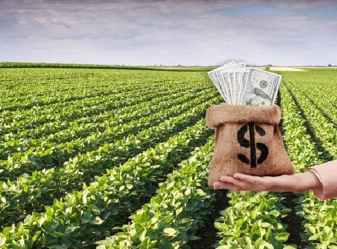 El Gobierno anunció el fin de la quita de retenciones: ya se alcanzó el cupo de u$s7.000 millones